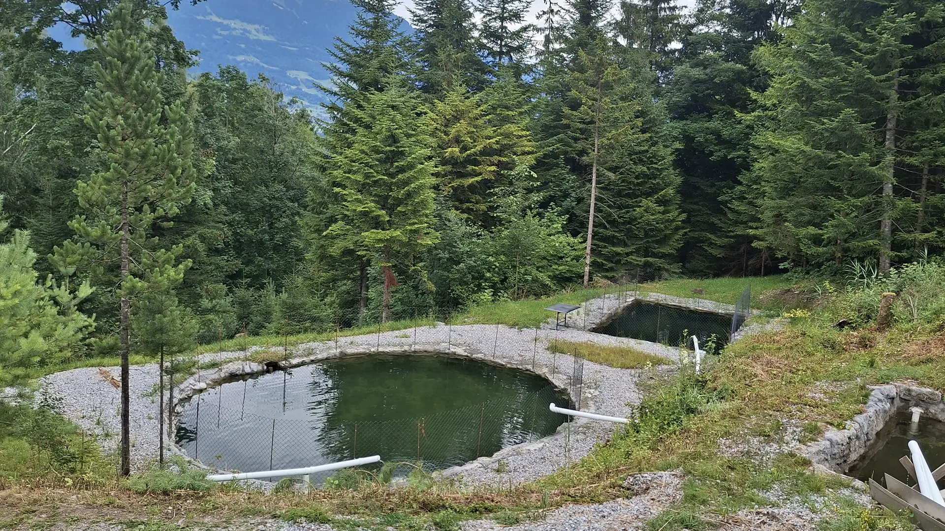 Blick vom Wirtschaftsgebäude auf die Fischbecken