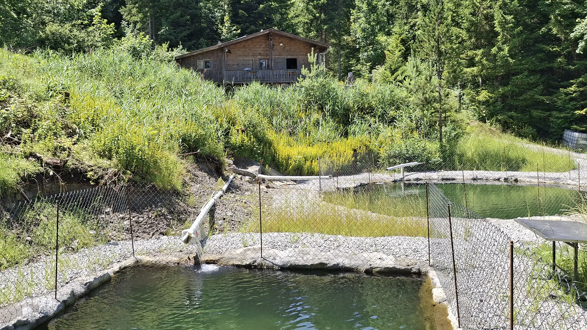 Blick von den Fischbecken auf das Wirtschaftsgebäude